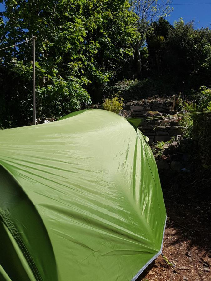 'Yellow Wood Micro Hostel-Eco Urban Bothy Style Very Basic But Cosy Redecorating But Cheap & Friendly Quiet Time Lockout 11Pm-7Am Bring Towel Or Hire Брекон Экстерьер фото